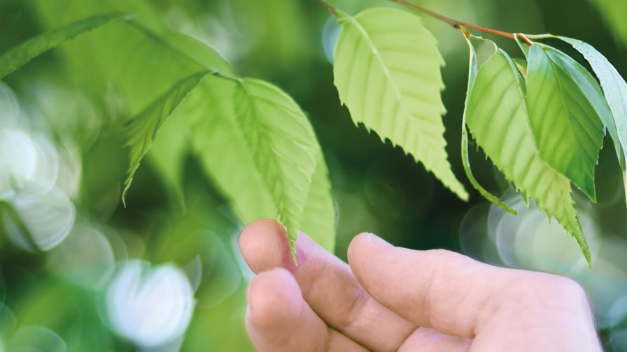 Year 2023: How Kuusakoski performed from an emission accounting perspective