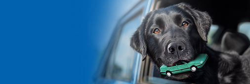 TILAA NOUTAJA
ROMUAUTOLLESI