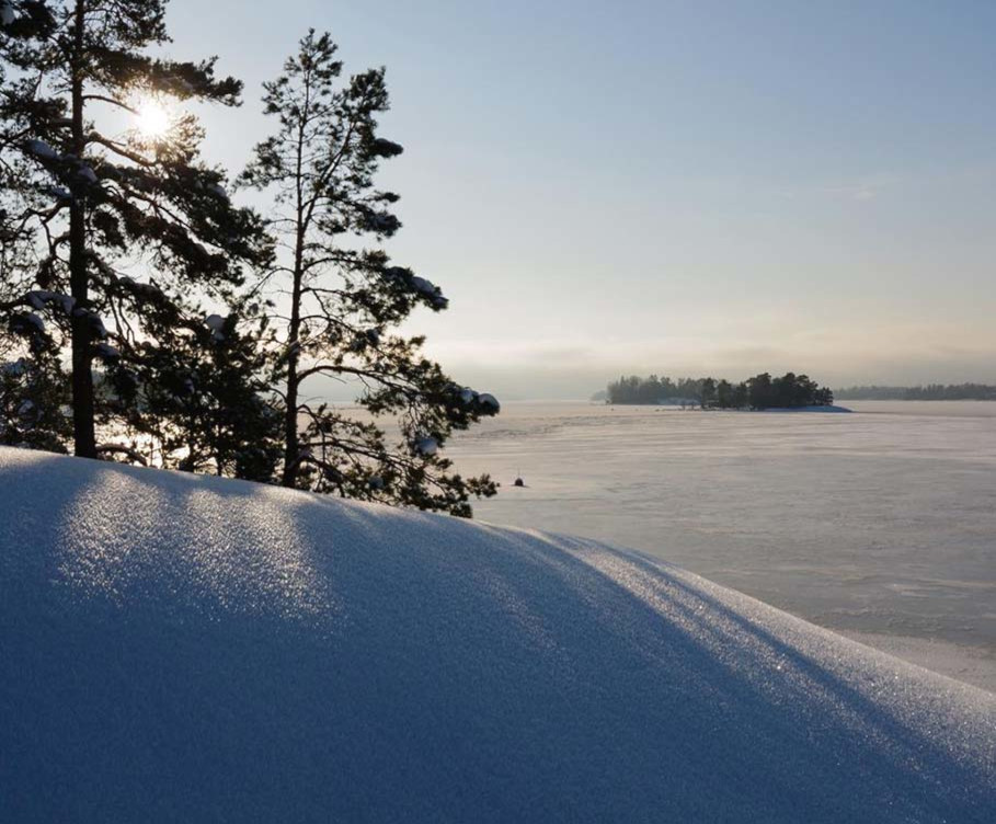 Vi ger tillbaka värdet